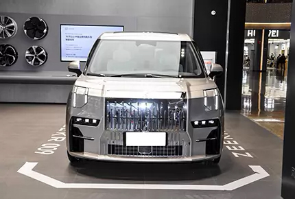 High Speed Zeekr 009 Fast Charging Long Battery Life 2023 New Energy Vehicles EV Car