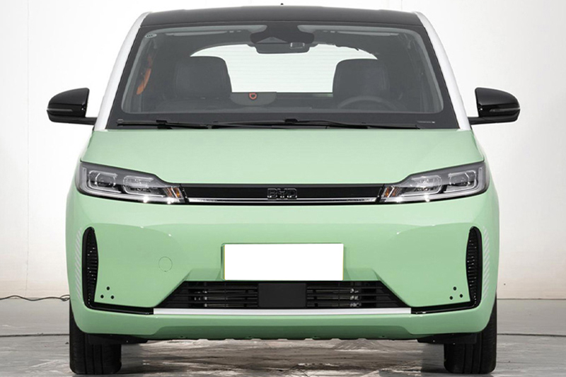 BYD-D1