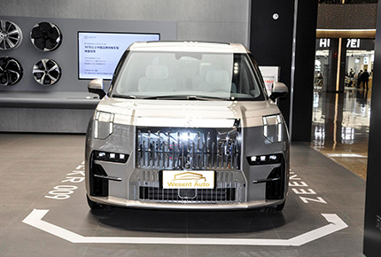 High Speed Zeekr 009 Fast Charging Long Battery Life 2023 New Energy Vehicles EV Car