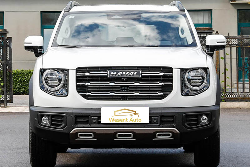 HAVAL BigDog