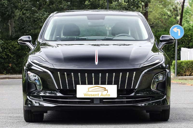 HongQi E-QM5