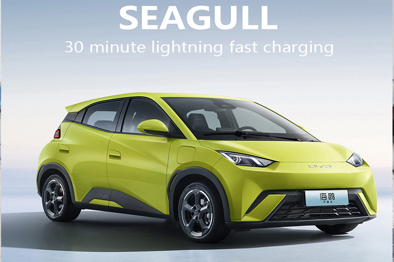 2024 Byd Seagull New Energy Vehicles Long Range Electric Car Byd Seagull Ev